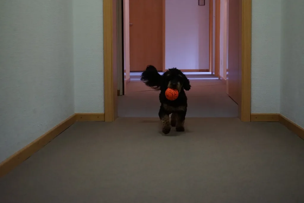 aww-seniorencampus-friedensau-seniorenheim-innenaufnahmen-52